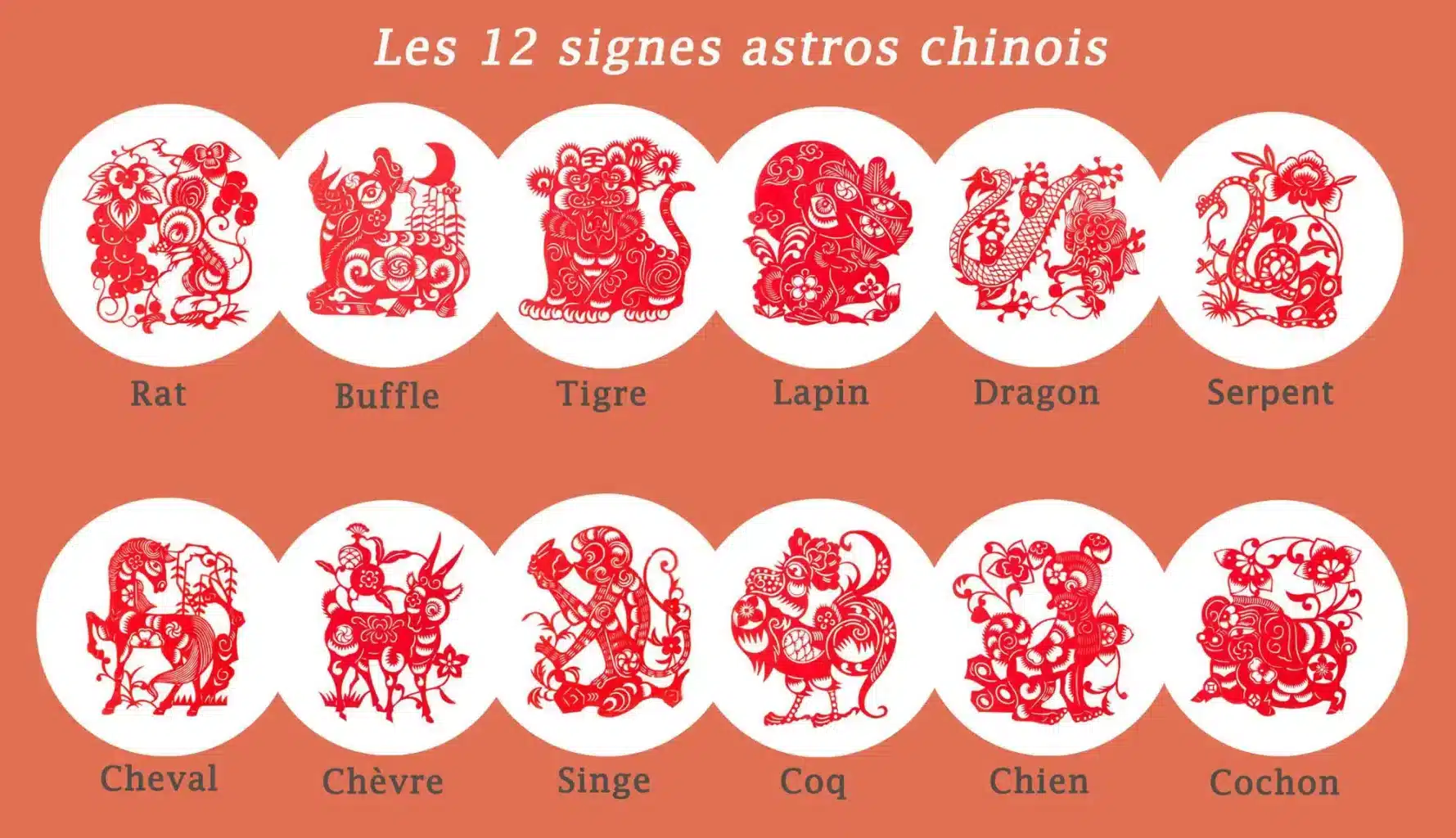 12signes