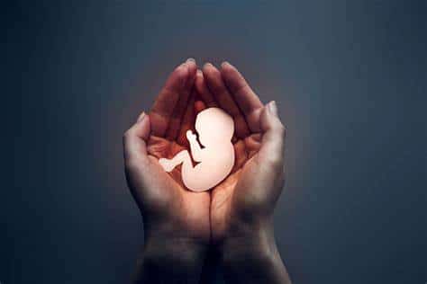 fertilité